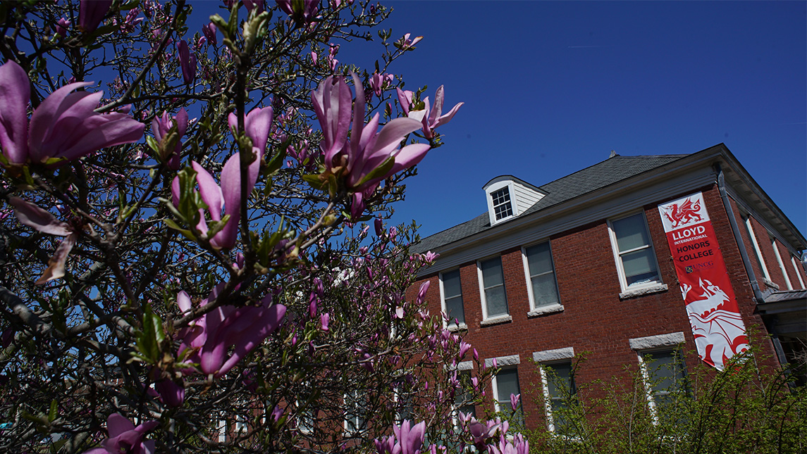 view of a blooming magnolia tree with the honors college in the background